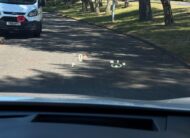 2021 Lexus RX 3.5 L 450h L V6 Takumi E-CVT 4WD